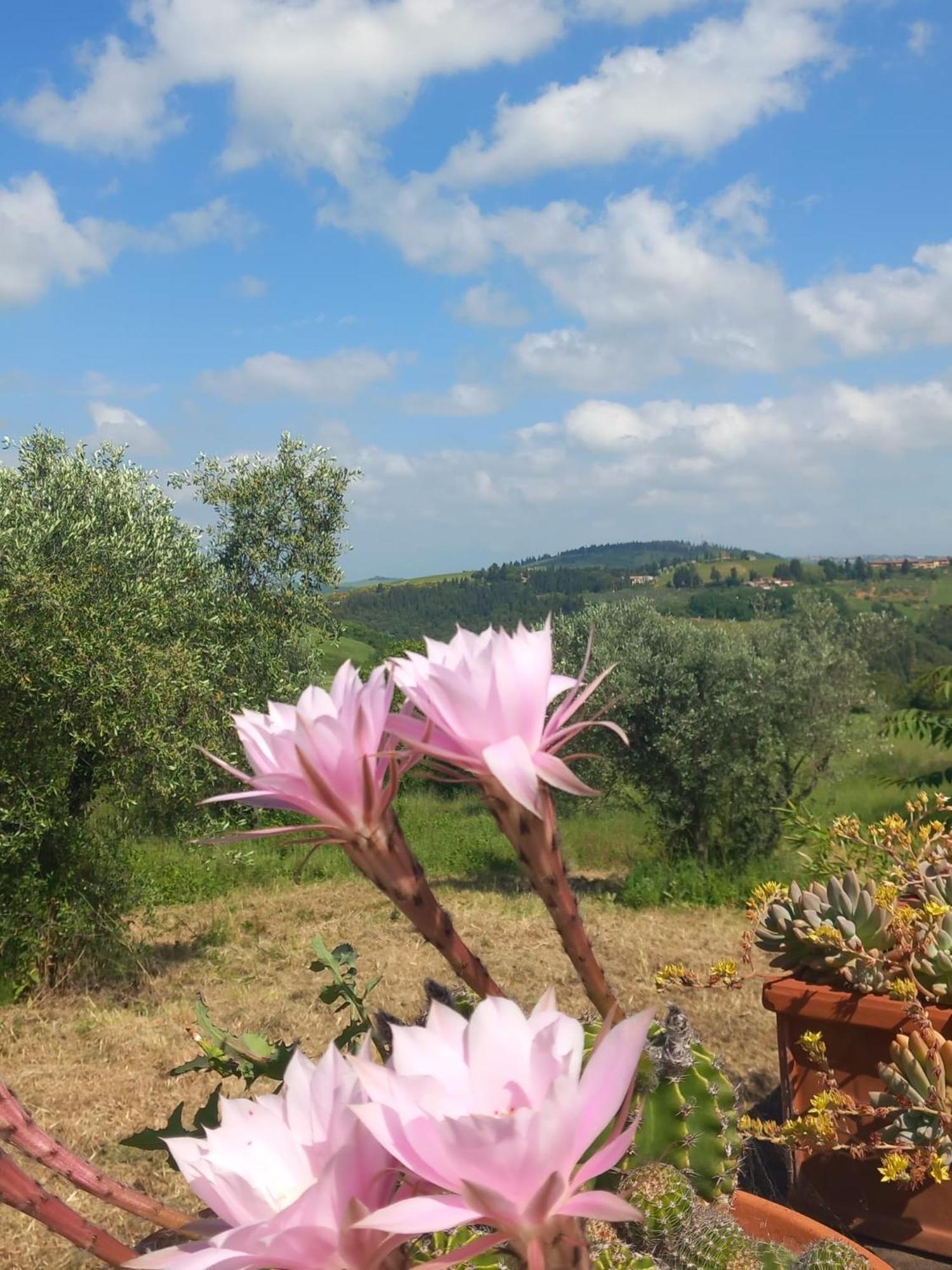 Chianti Art Room Poggibonsi Bagian luar foto